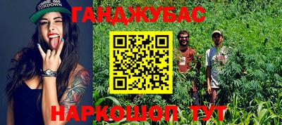 apvp Дубна